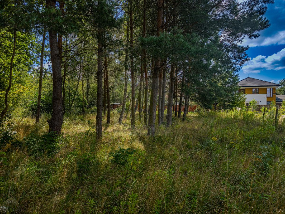 Piękna działka w dobrym miejscu