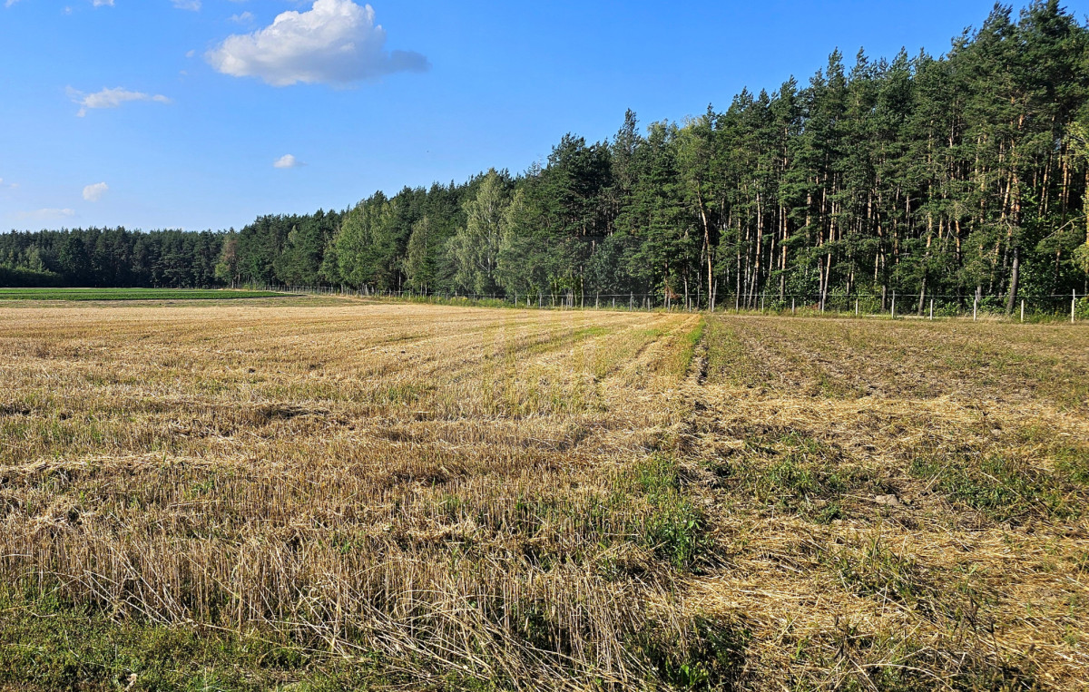 Piękna działka na skraju lasu 3000 m2.