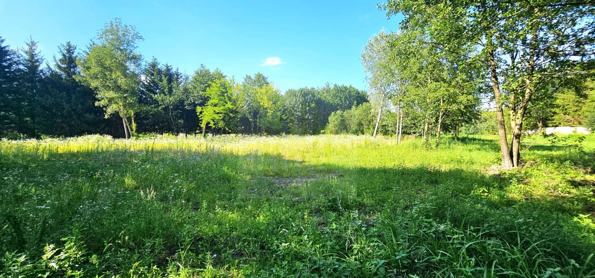 teren pod inwestycję-lokalizacja-szkoła-cisza