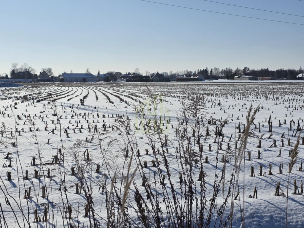 Atrakcyjna działka inwestycyjna w Błoniu