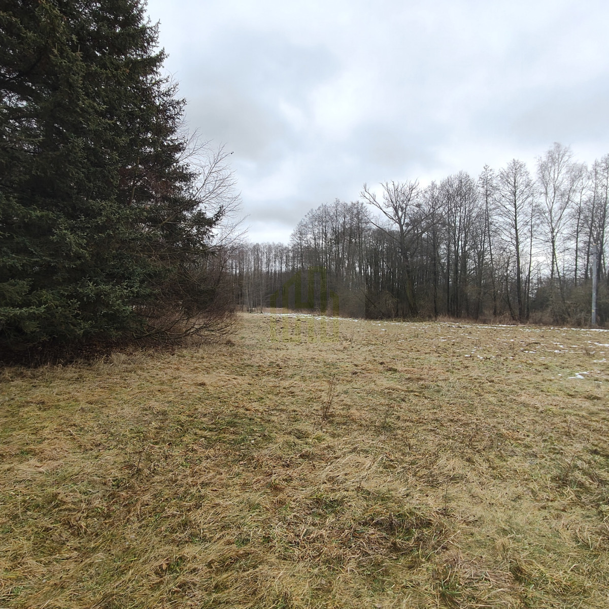 1 ha  pod siedlisko  35 minut od Warszawy