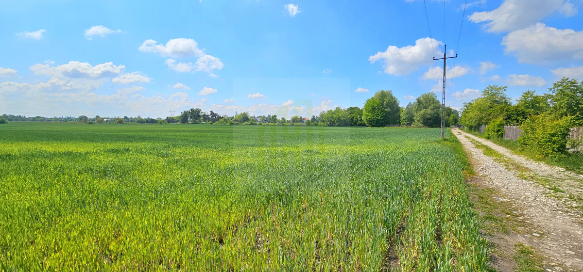 Piękna działka w Bieniewicach 1600 m2.