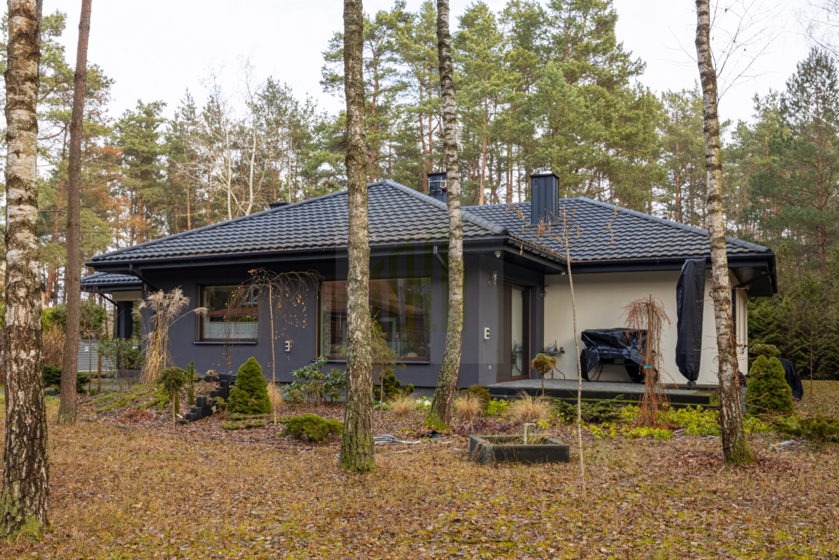 Nowoczesny dom 168,89 m² – cisza, las i przestrzeń