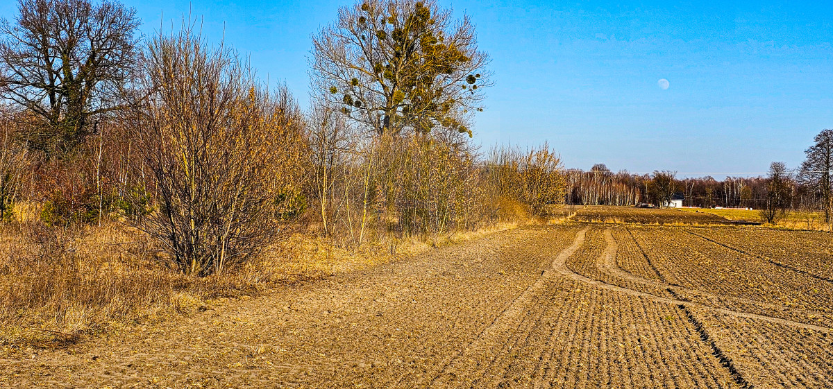 Działka budowlano-usługowa