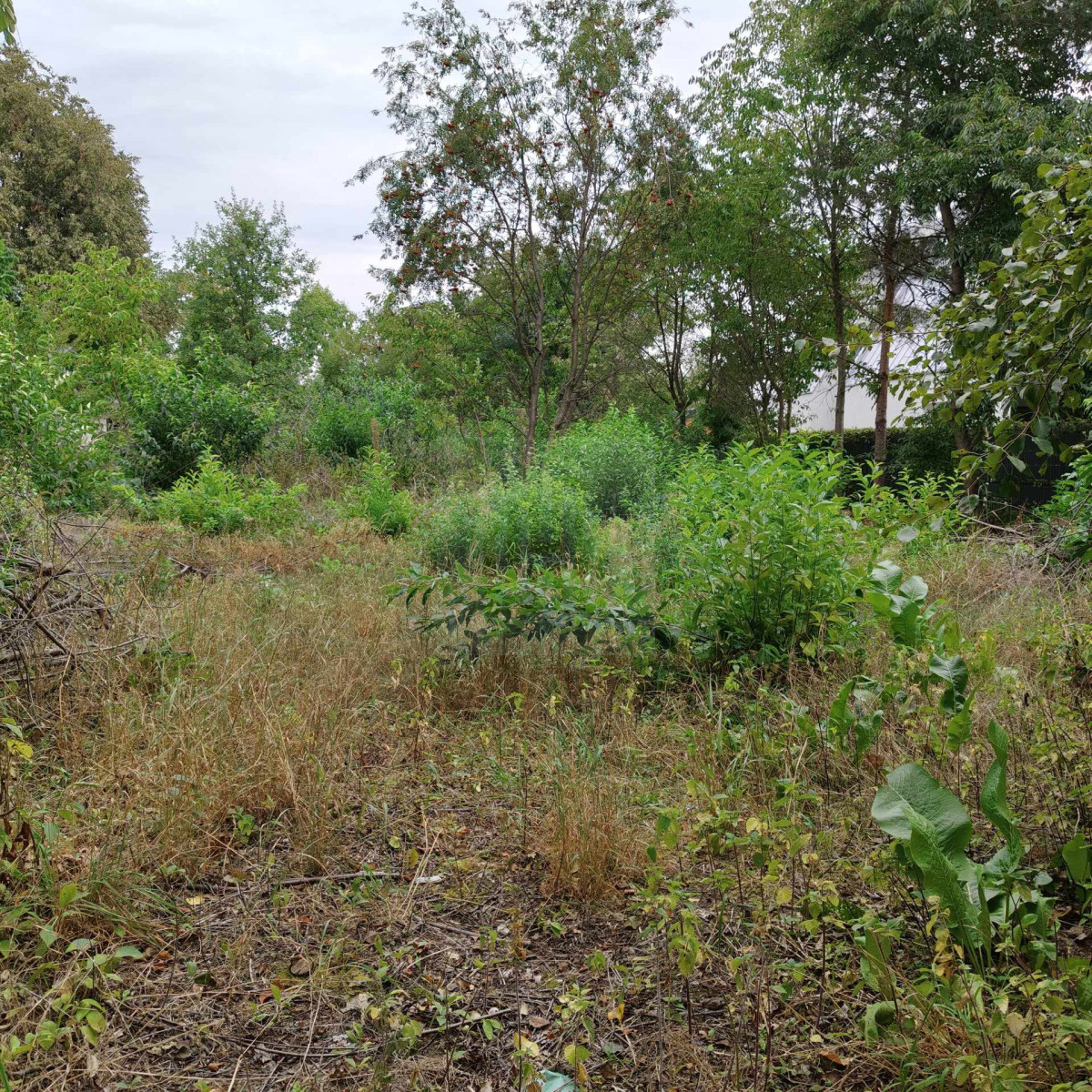 Działka budowlana przy drodze gminnej