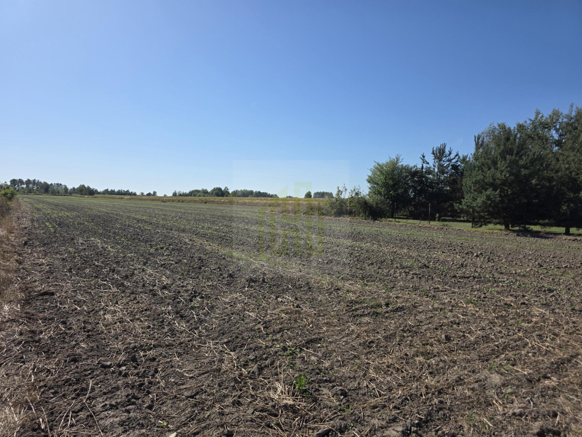 Urokliwa działka pod Błoniem