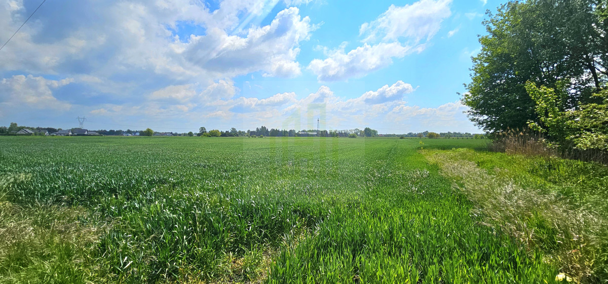 Duża, piękna działka 2527 m2 w Bieniewicach